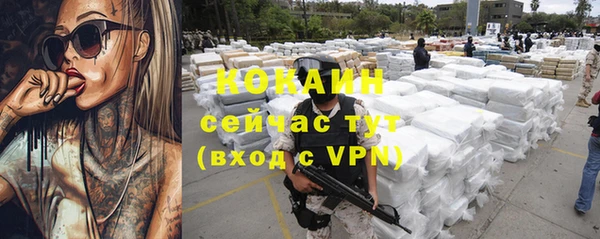 ECSTASY Михайлов