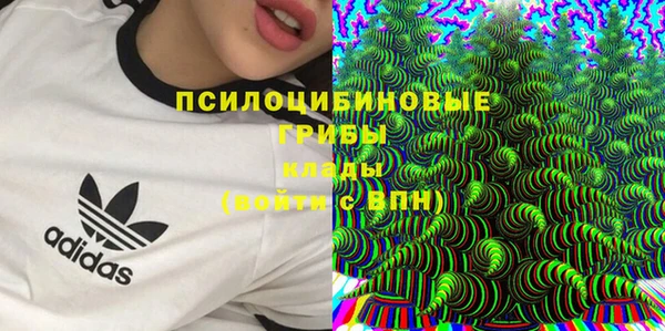 ECSTASY Михайлов