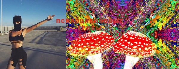ECSTASY Михайлов