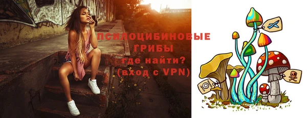 ECSTASY Михайлов