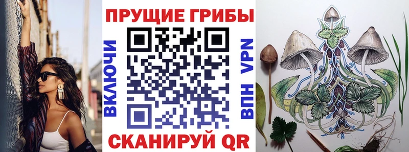 закладки Домодедово Галлюциногенные грибы MAGIC MUSHROOMS