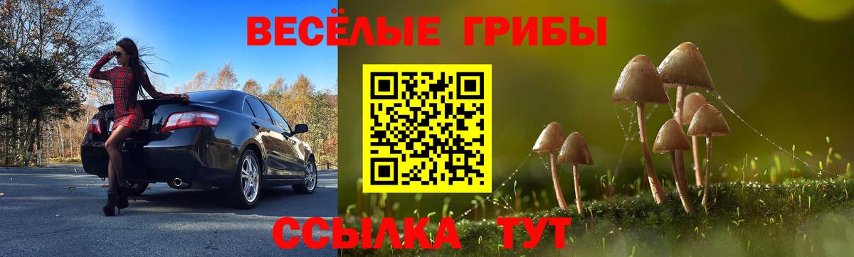 Псилоцибиновые грибы Psilocybe  Галлюциногенные грибы прущие грибы  Домодедово 